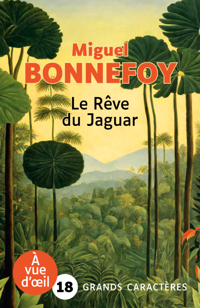 Couverture de l'ouvrage Le Rêve du Jaguar de Miguel Bonnefoy